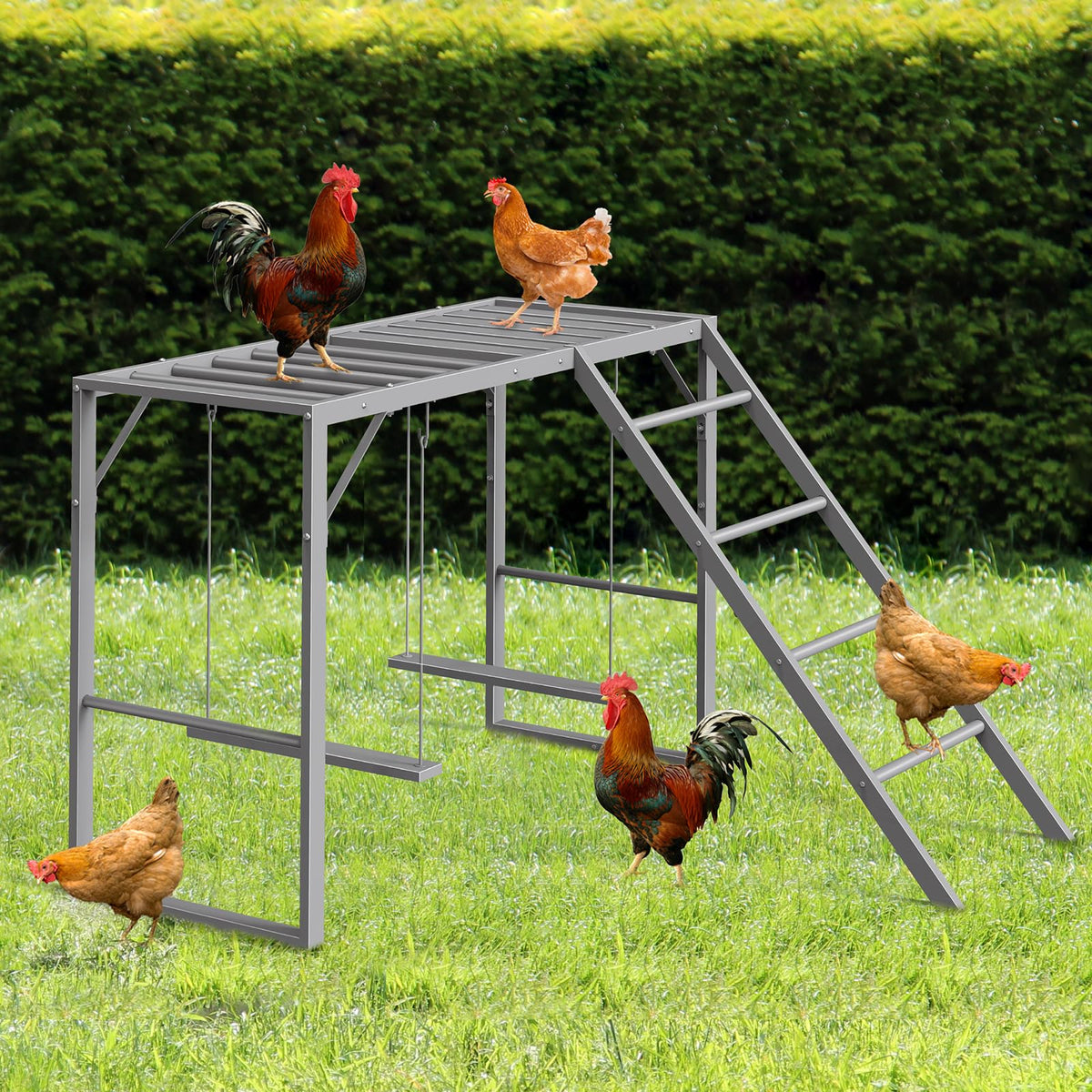 CADUKE weatherproof roost withstands sun, rain, and snow for year-round enjoyment.