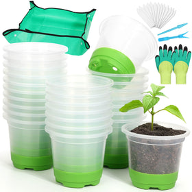 Caffox seedling kit clear pots with silicone base for gentle transplanting