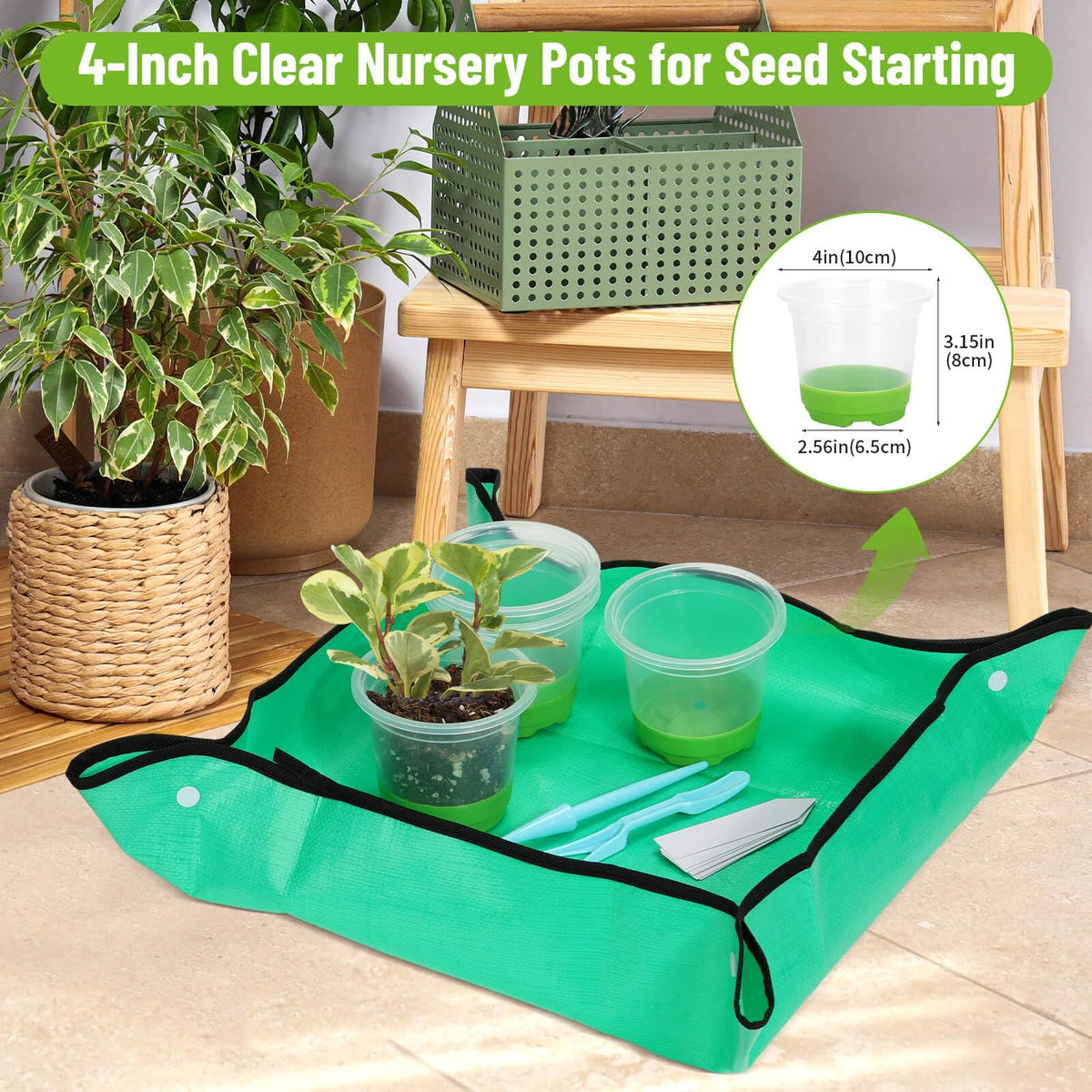 Caffox seedling kit transparent pots for monitoring root growth