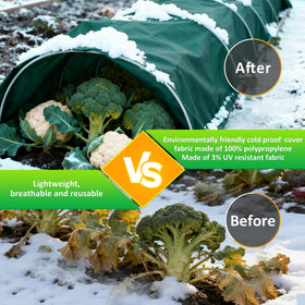 Cahomo wind and snow protection cover reduces plant damage