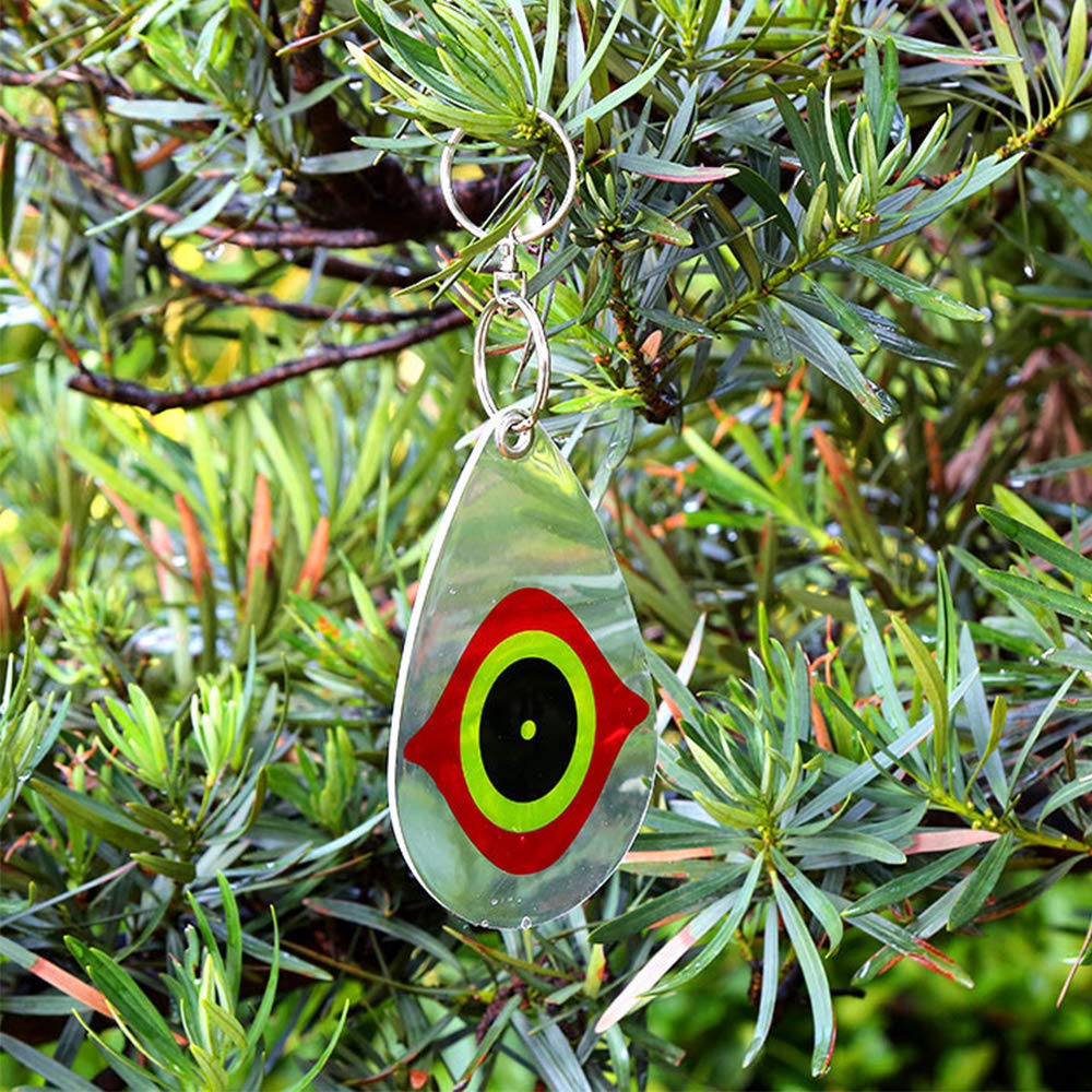 Cainda Reflective sun glare pattern startles birds at daylight.
