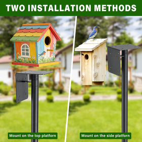 The CALCHELE height-segments-60-inch setup lets kids observe feeders up close.