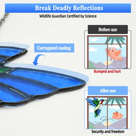 Calmpathz bird-safe design helps reduce window reflections and bird collisions.