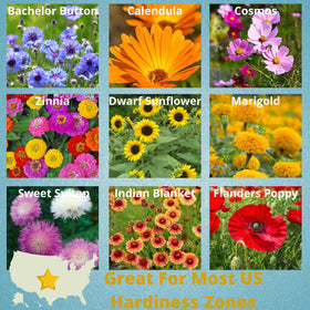 Camas Pollinator seed packets boost garden color and pollinator visits