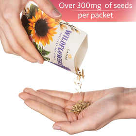 Open Camas Pollinator seed packet reveals 11-flower mix, easy indoor sowing