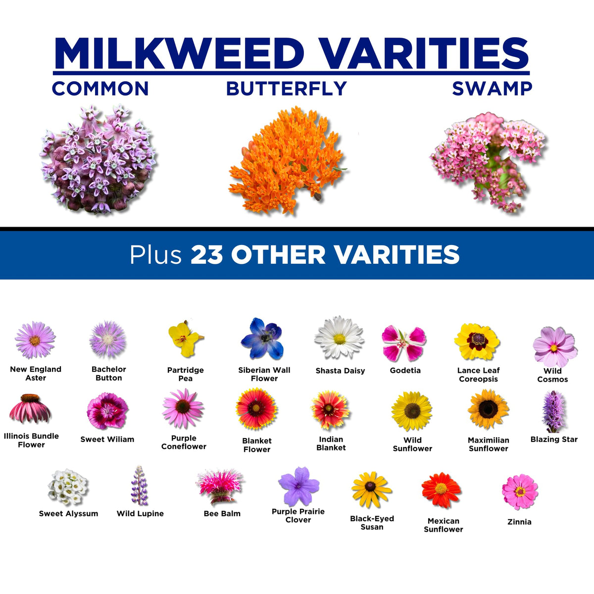 CAMAS cold stratification guide improves germination