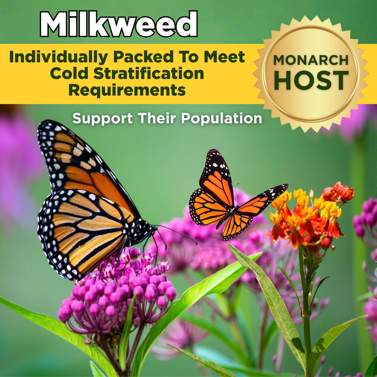 CAMAS wildflower seed mix bundle attracts pollinators