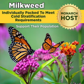 CAMAS wildflower seed mix bundle attracts pollinators