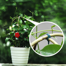 Cambaverd 16-inch fan-shaped trellis detail demonstrates shape.