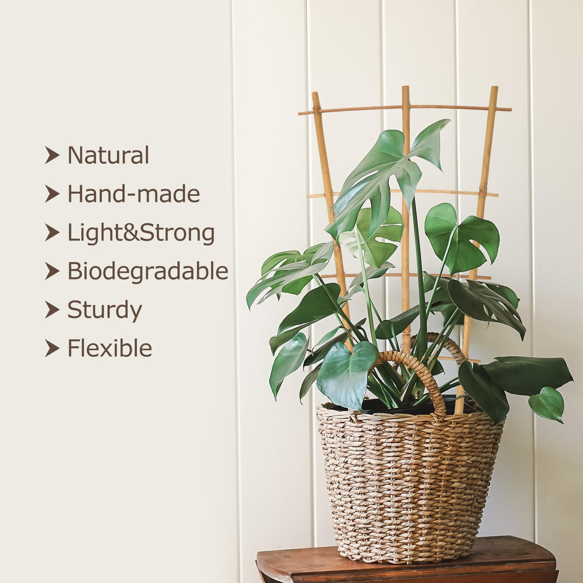 Cambaverd three-pack bamboo trellis for versatile indoor gardening use.