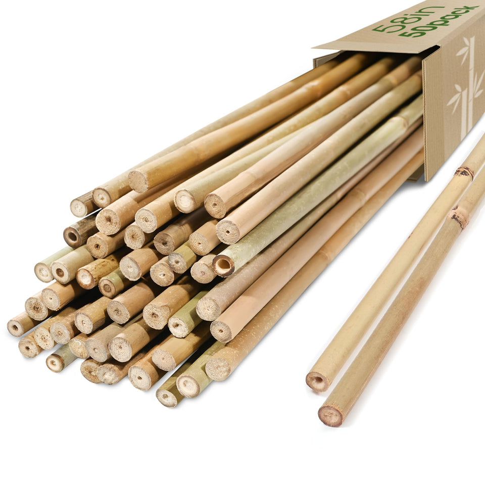 Cambaverd bamboo stakes in a 50-pack for 5 feet tall plant support.