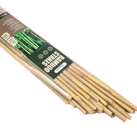 Cambaverd 5 ft bamboo stake in-ground for sturdy plant support