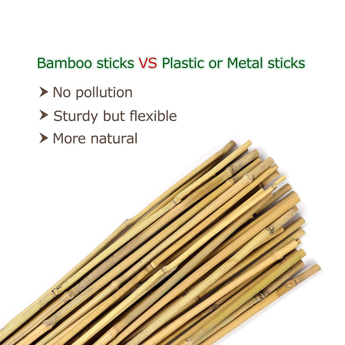 Cambaverd bamboo-stakes-climbing-plant-stake supports climbing vines.