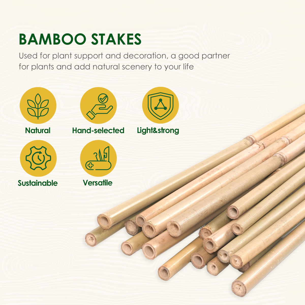 Close-up of Cambaverd bamboo stakes inserted into ground for sturdy plant support.