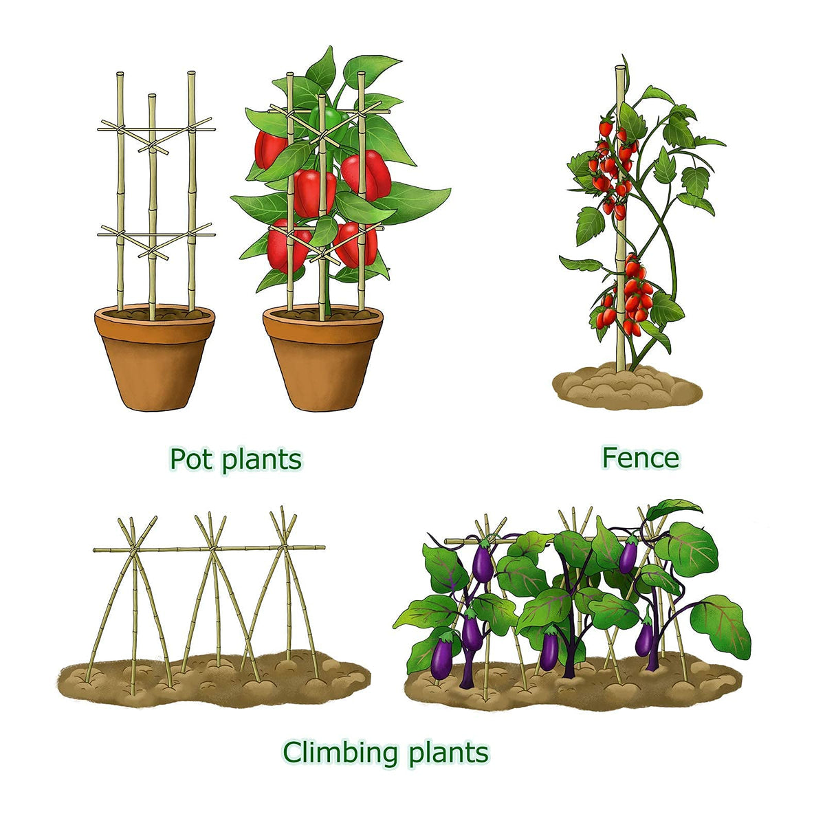 Cambaverd bamboo-stakes-installation-easy quick ground placement.