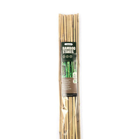 Cambaverd bamboo-stakes-multi-use-garden adaptable for frames and trellises.