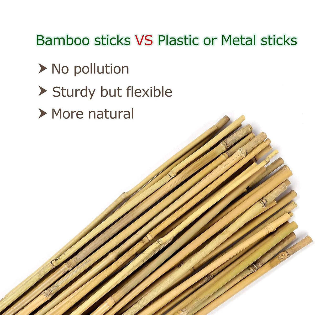 Cambaverd bamboo stakes supporting a potted plant indoors