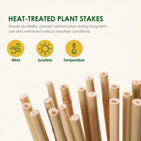 Cambaverd bamboo stake supporting a tomato plant for steady growth.