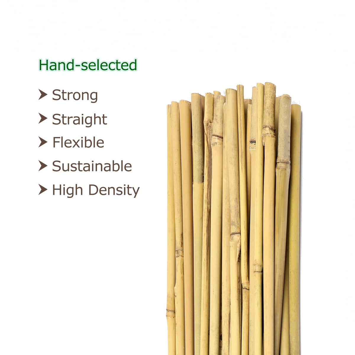 Cambaverd bamboo stake tomato support helps plants stand tall