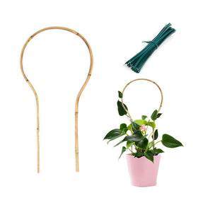 Cambaverd bamboo trellis 16-inch loop, 3-pack, sturdy support for climbing plants.