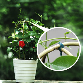 Cambaverd indoor-outdoor plant support ready for pots and planters.