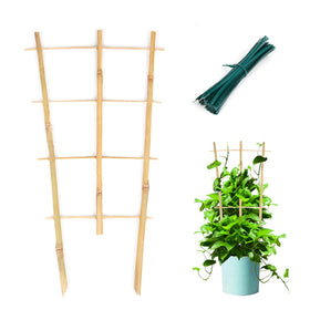 Cambaverd plant trellis 16in fan-shaped front view supports climbing vines for healthy growth.