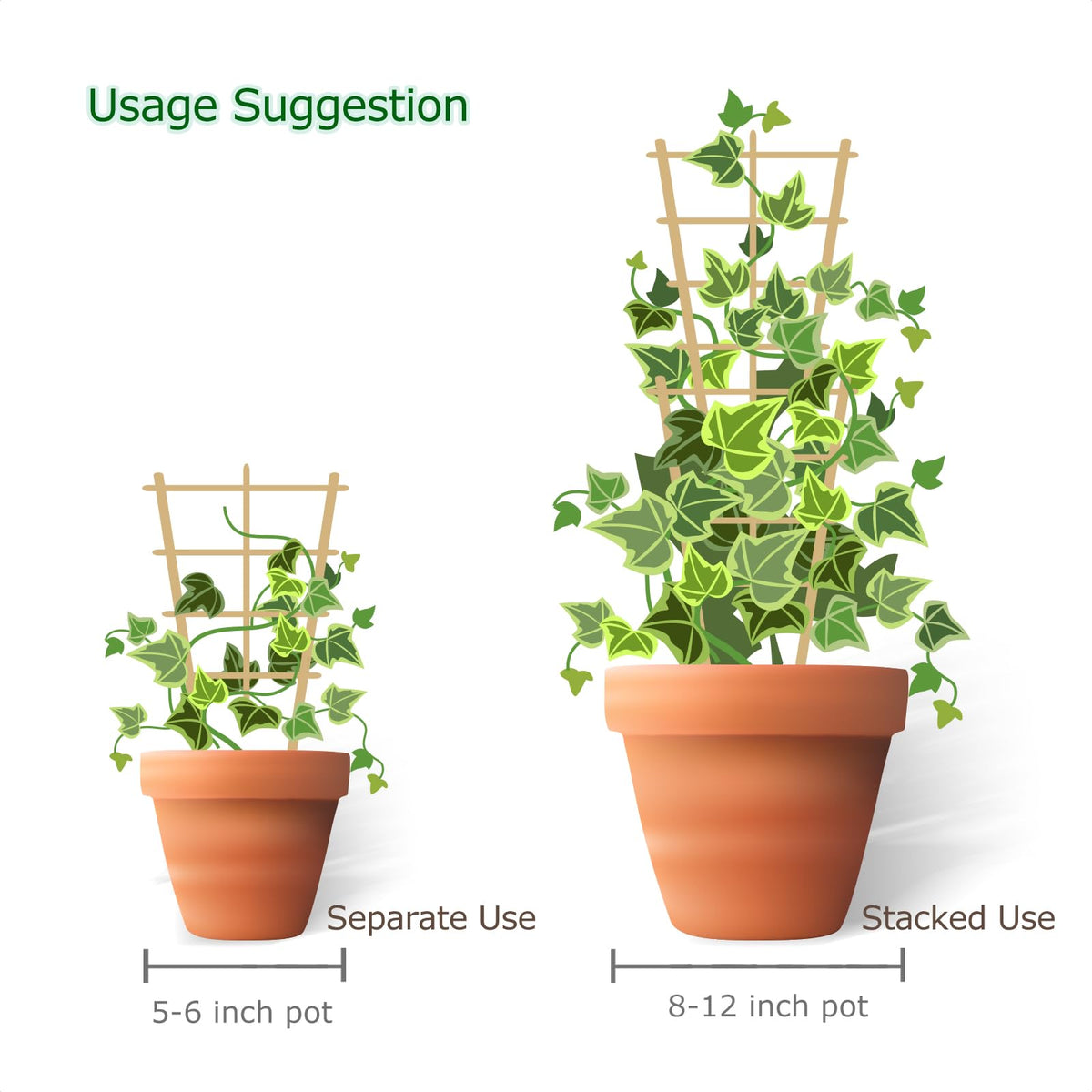 Cambaverd indoor setup showing pot with trellis supporting plant growth.