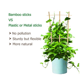 Cambaverd trellis with twist ties for easy securement.