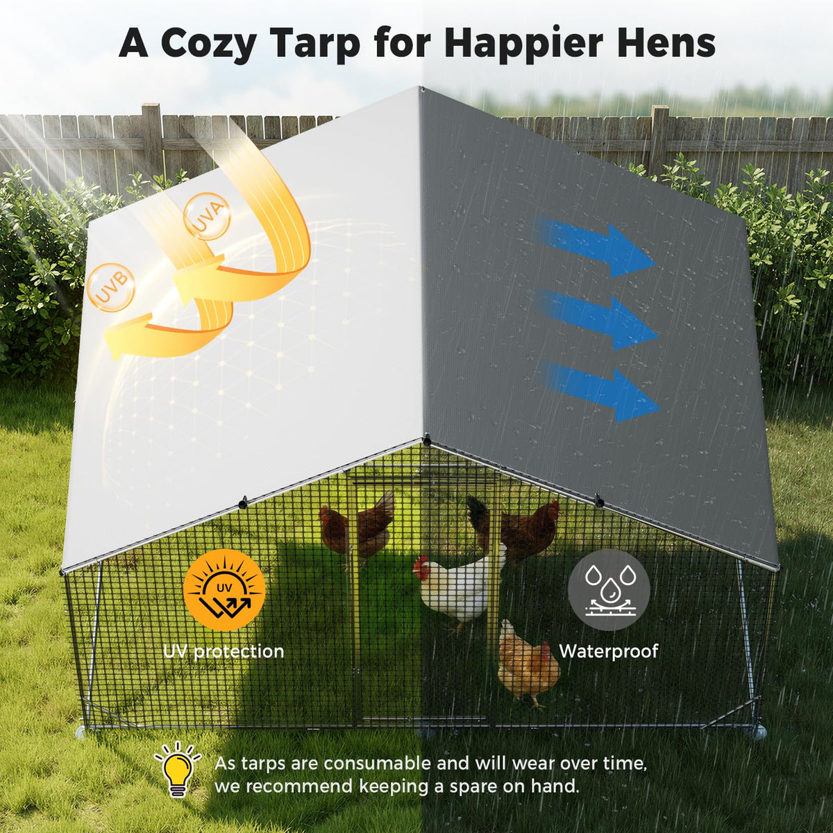 CAMMOO chicken coop in backyard, versatile setup for ducks or rabbits