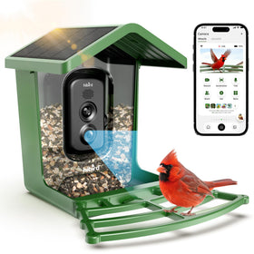 Camojojo Hibird 4K feeder camera captures vivid birds in crisp detail.