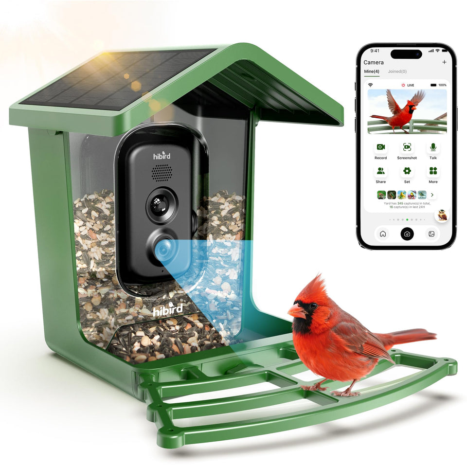 Camojojo Hibird 4K feeder camera captures vivid birds in crisp detail.