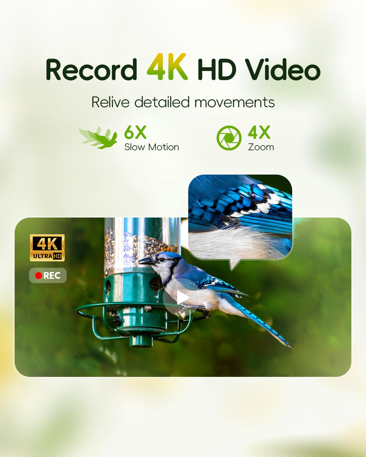 Camojojo Hibird 8MP sensor detail captures vibrant plumage with sharp color.