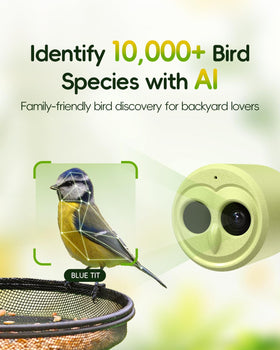 Camojojo Hibird AI identifies up to 10,000 species for easy cataloging.