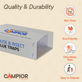 Campior traps placed along wall corners for efficient indoor pest control.