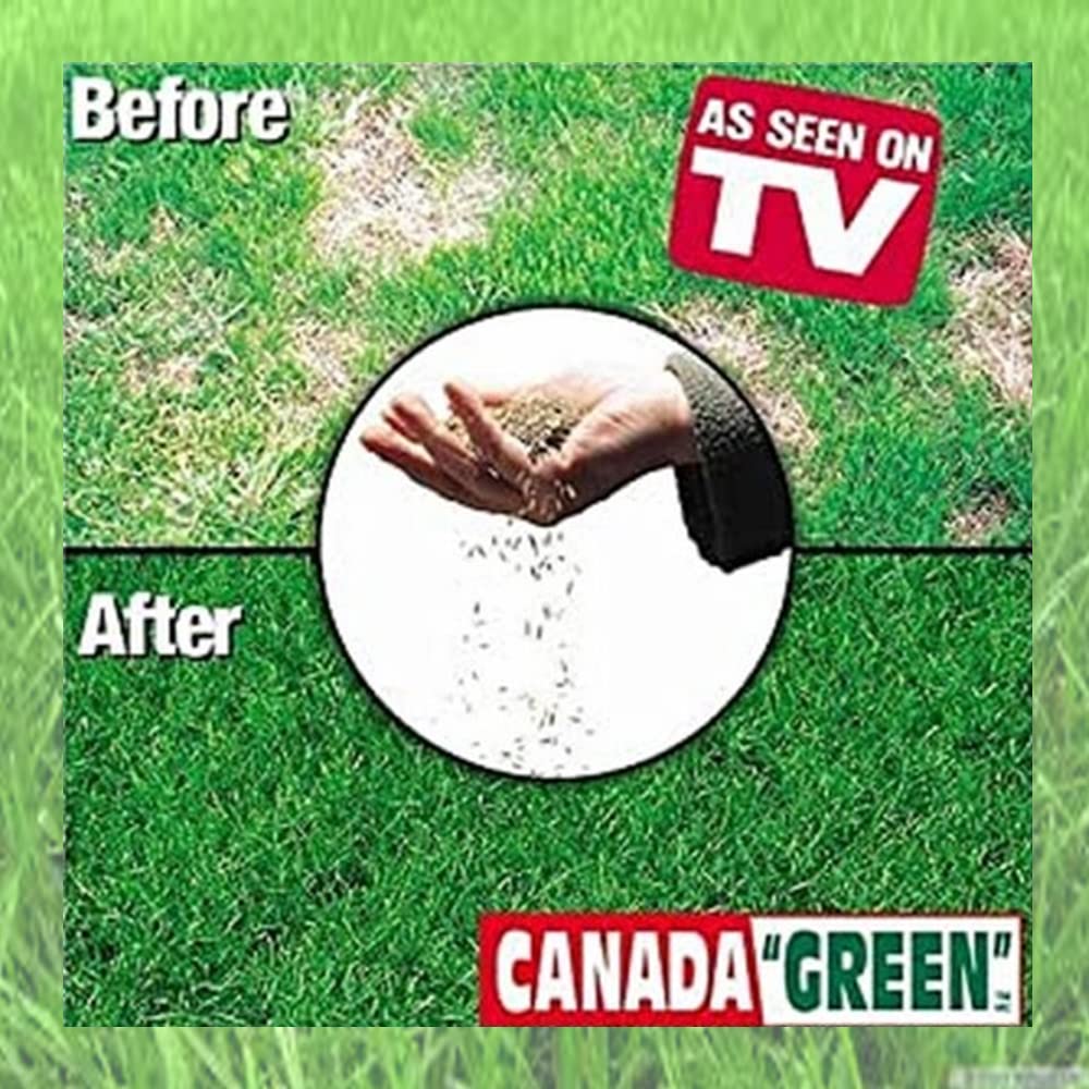 Canada Green backyard lawn healthy growth shot inspires vibrant outdoor space.
