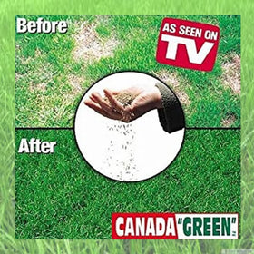 Canada Green backyard lawn healthy growth shot inspires vibrant outdoor space.