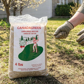 Canada Green Grass Lawn Seed 4lb bag front view; promotes quick germination.