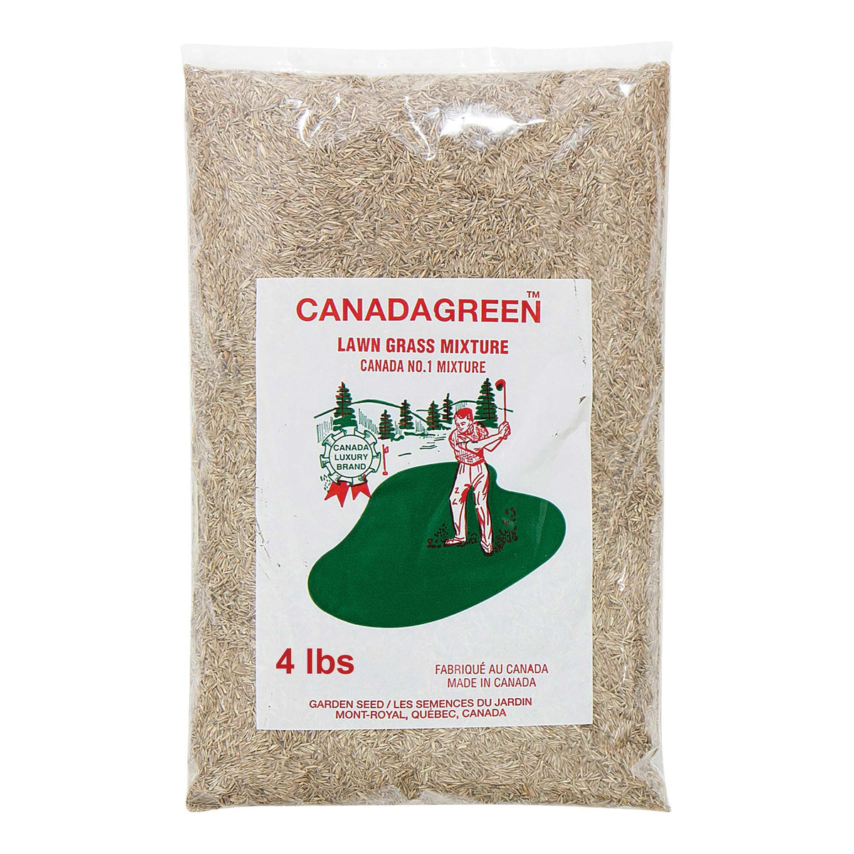 Canada Green Grass Lawn Seed in shady area; tolerant turf for low sun.