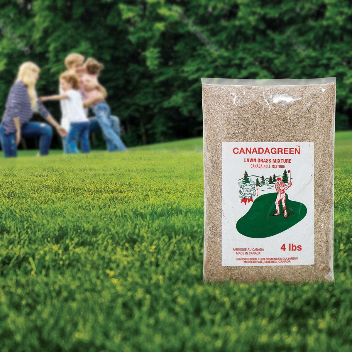 Canada Green Grass Lawn Seed being spread over soil; patch repair use.