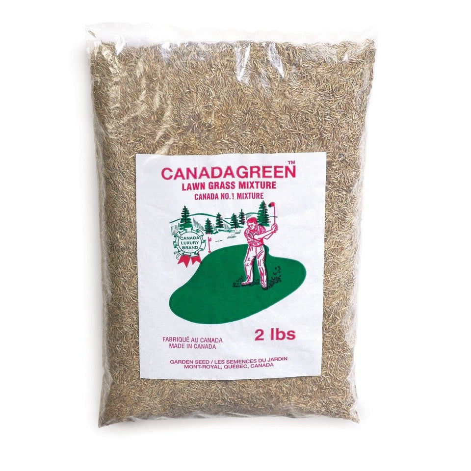 Canada Green grass seed bag product shot showing the seed in a neat bag for lawns.