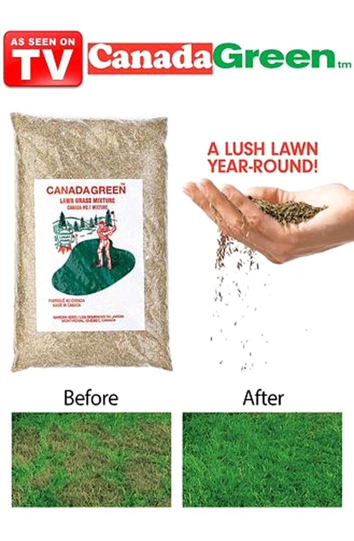 Canada Green lawn seed spreading on yard demonstrating easy application.