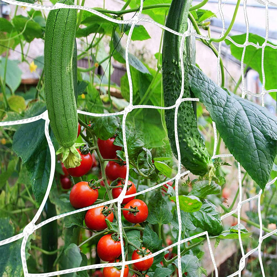 CANAGROW trellis netting 6x15ft setup providing sturdy support for climbing plants.