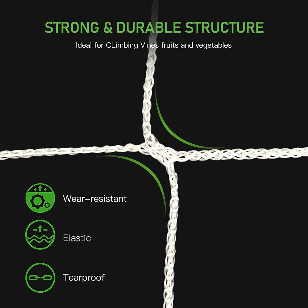 CANAGROW trellis netting supports beans climbing vines in a garden.
