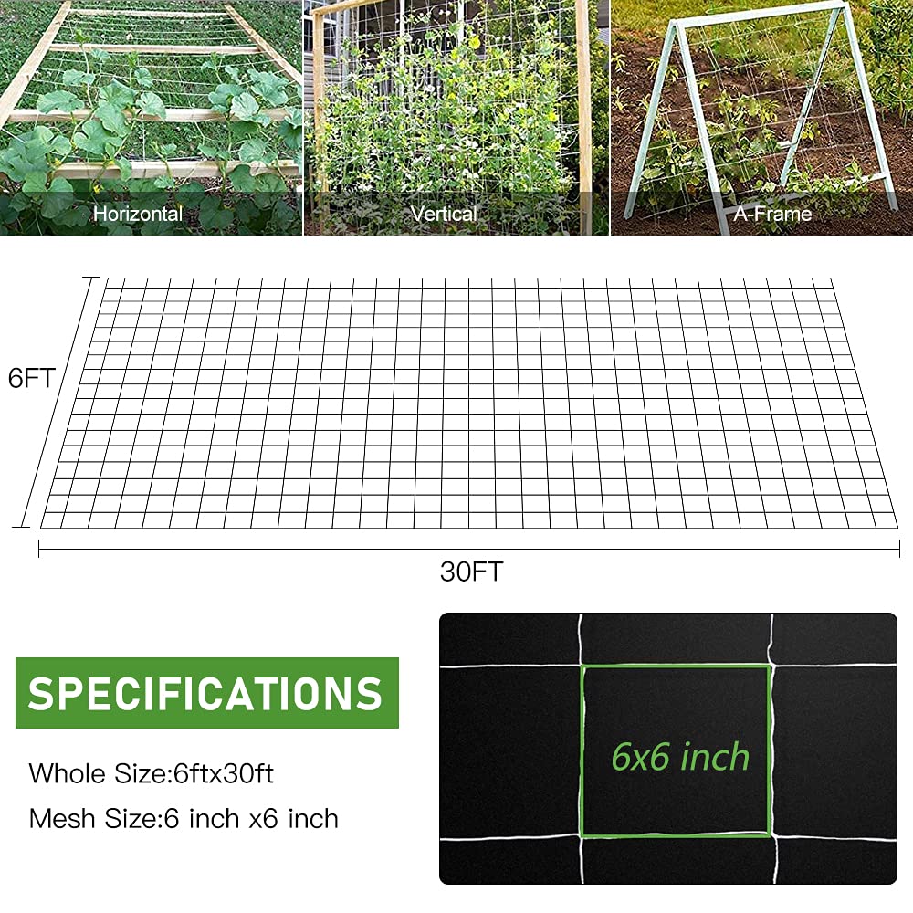 CANAGROW trellis netting installed around poles for a strong space saving vertical setup.