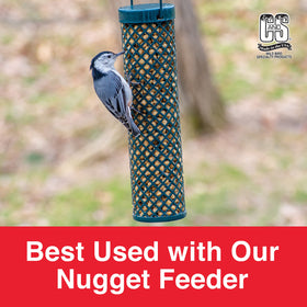 C&S Bluebird Nuggets with seed mix for versatile feeding