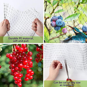 CandyHome garden mesh anti-bird netting over plants for protection