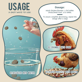CanineGluca supports safe eggs during use in laying hens