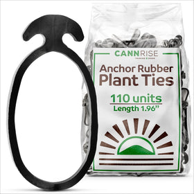 Cannrise anchor bands for trellising securely support vines with gentle stretch
