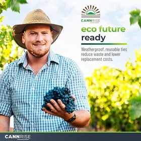 Cannrise grapevine support band on a trellis demonstrates flexible tying