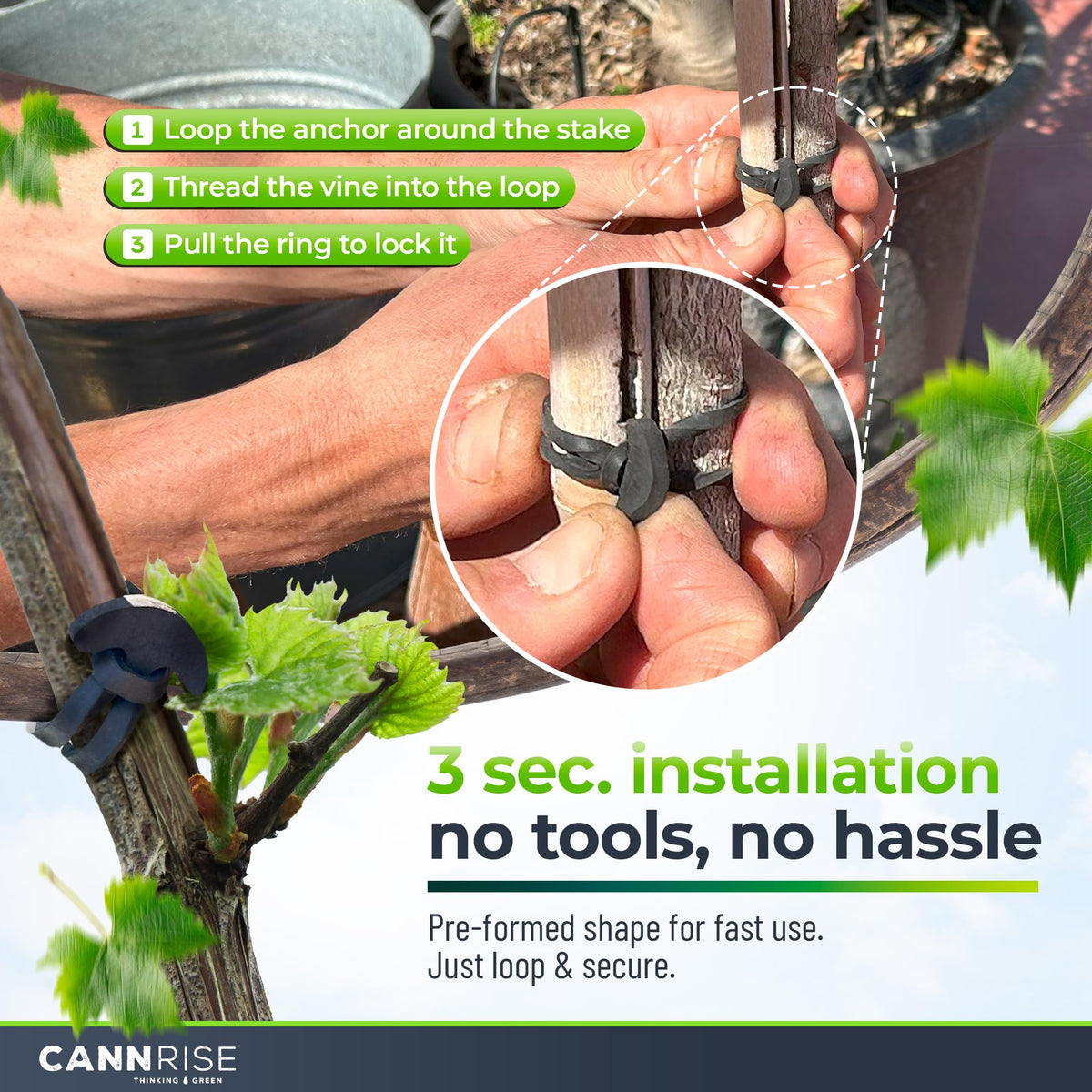 Cannrise loop-and-anchor design illustrated for quick installation during pruning